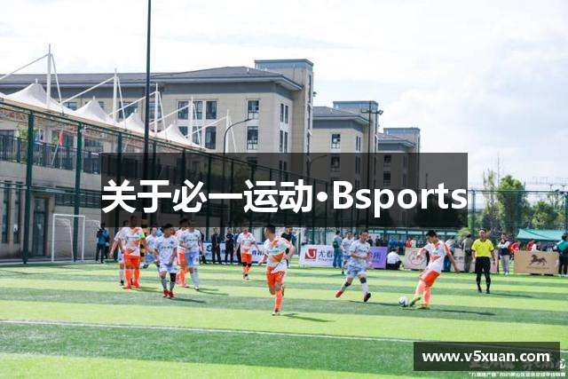 关于必一运动·Bsports